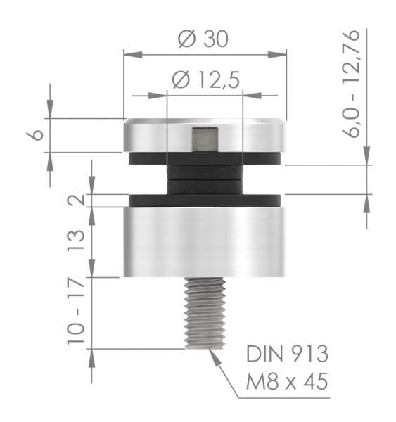 Glas-Punkthalter Ø 30 mm | für Anschluss: flach | V2A