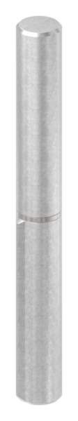 Anschweißband, Länge: 160mm, fester Zapfen, V2A